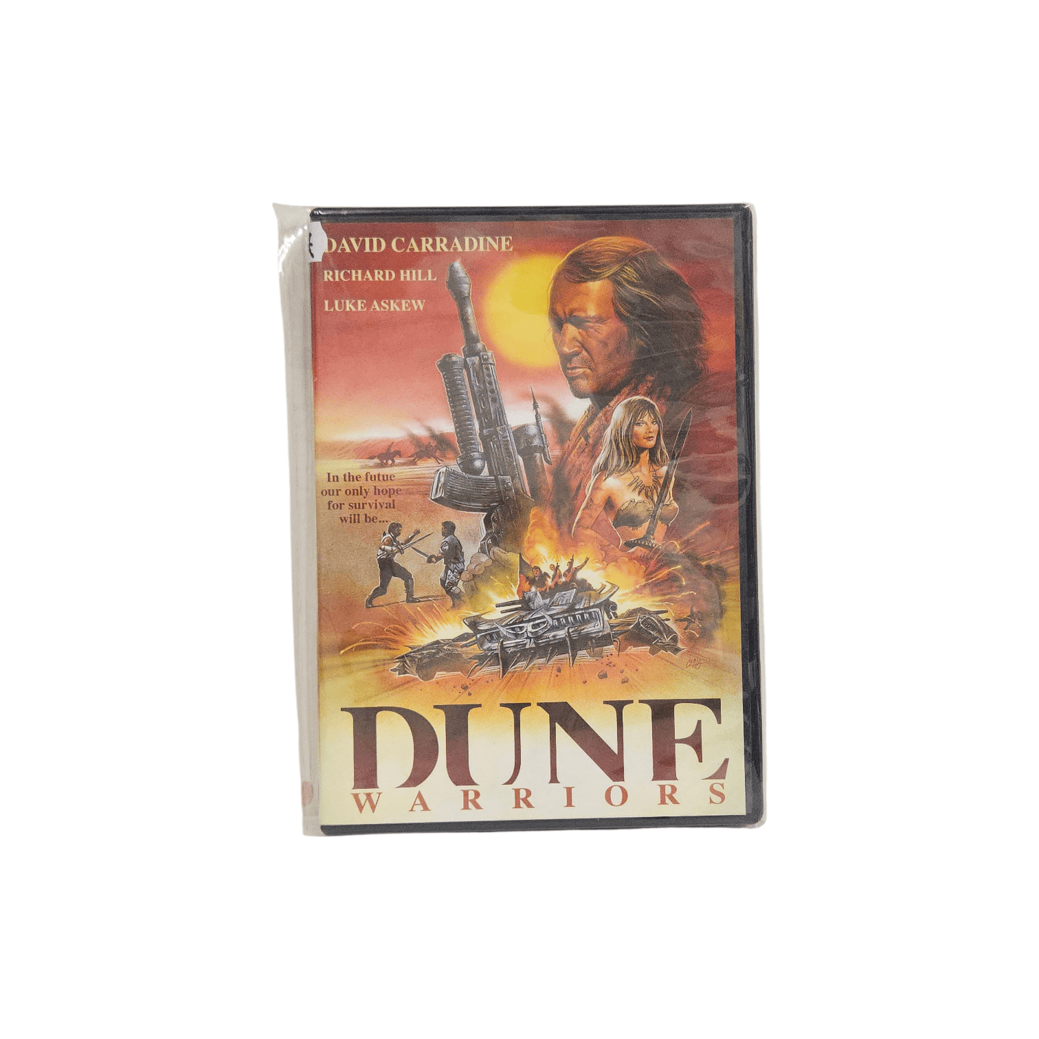 1000145972-Photoroom (1)