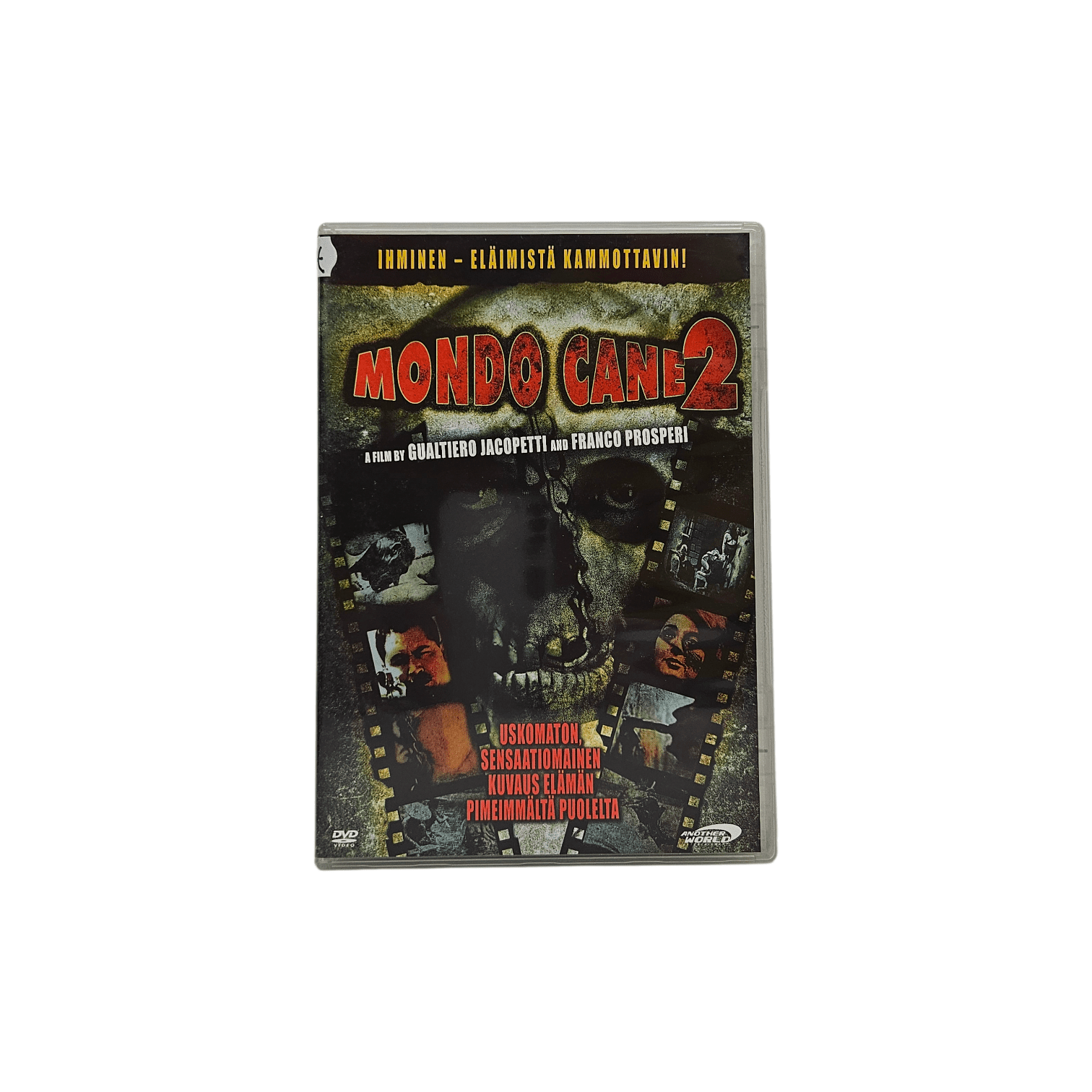 20260118_182359-Photoroom (1)