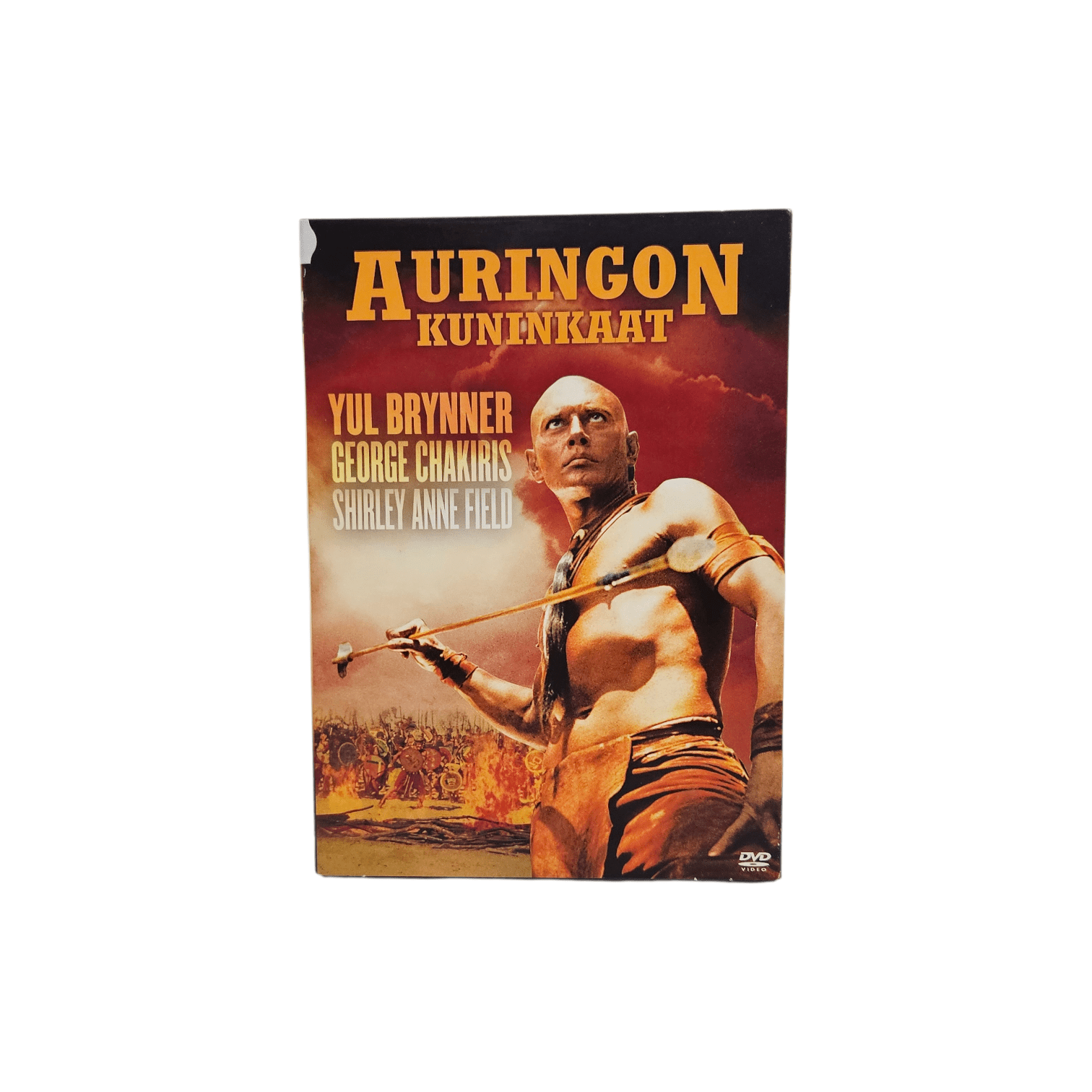 20260125_144511-Photoroom (2)