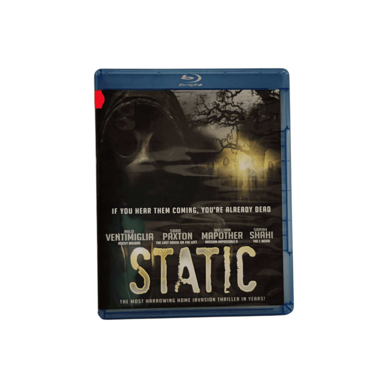 IMG_20260319_124502-Photoroom (1)